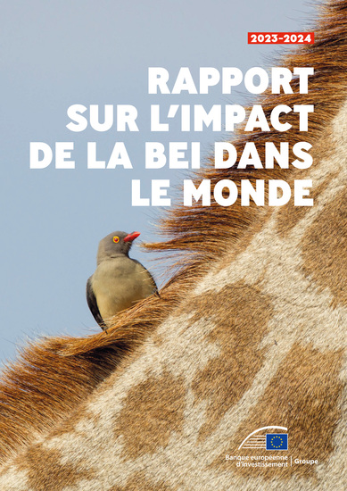 Rapport sur l'impact de la BEI dans le monde en 2023-2024 - cover