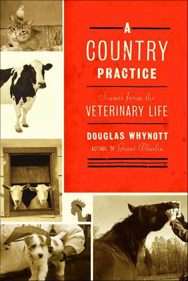 A Country Practice - Scenes from the Veterinary Life - cover