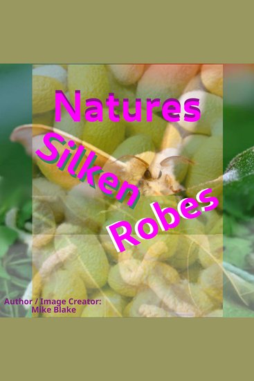 Natures Silken Robes - Bombyx mandarina - cover