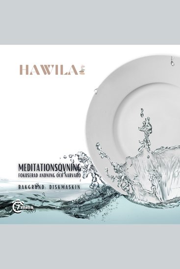 Meditationsövning - Diskmaskin - cover