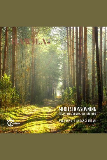 Meditationsövning - I skogsgläntan - cover
