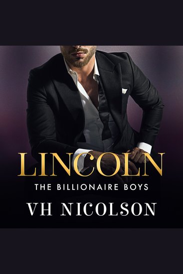 Lincoln - A steamy strangers-to-lovers secret billionaire workplace romance from VH Nicolson - cover