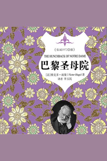 巴黎圣母院 - cover