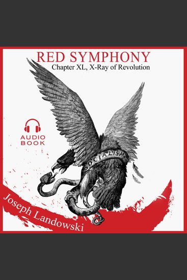 Red Symphony - Chapter 40 X-Ray of Revolution - cover