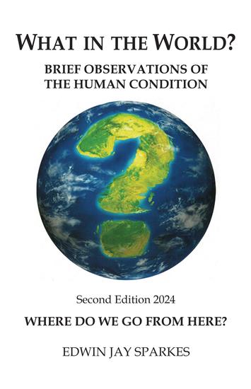 What in the World? - Brief Observations of the Human Condition 2nd Edition - cover