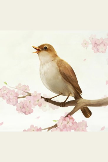 Bedtime Stories - Hans Christian Andersen - The Nightingale - cover