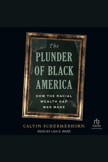The Plunder of Black America - How the Racial Wealth Gap Was Made - cover