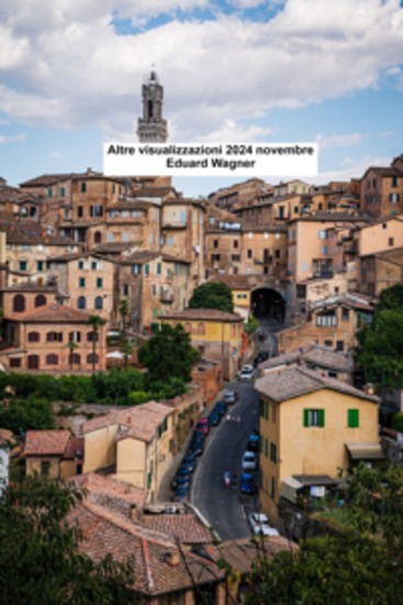 Altre visualizzazioni 2024 novembre - cover