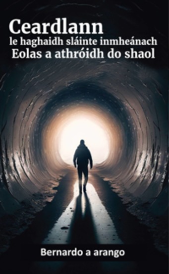 Ceardlann Leighis Mhothuchanach Agus Inmheanach - Eolas A Athróidh Do Shaol! Eagrán Feabhsaithe - cover