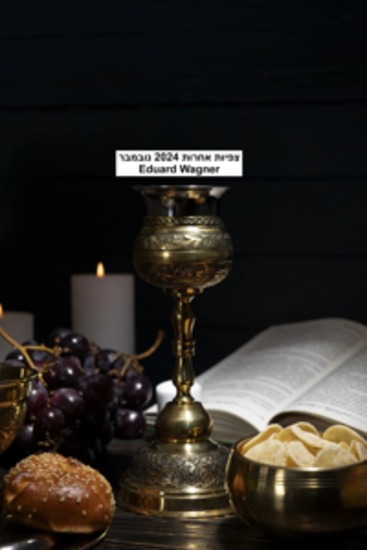 צפיות אחרות 2024 נובמבר ללא - cover