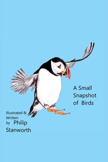 A Small Snapshot Of Birds - cover