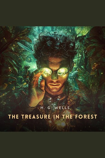 The Treasure In The Forest - cover