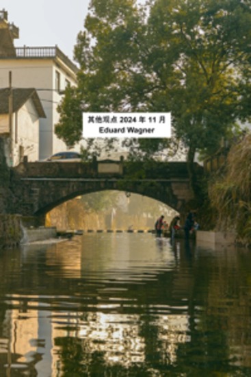 其他观点 2024 年 11 月 - cover