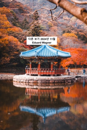 다른 보기 2024년 11월 - cover