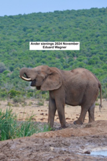 Ander sienings 2024 November - cover