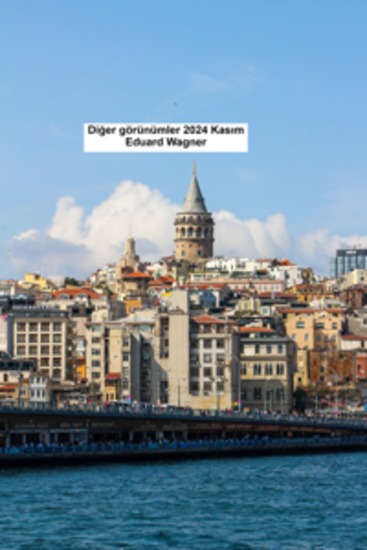 Diğer görünümler 2024 Kasım - cover