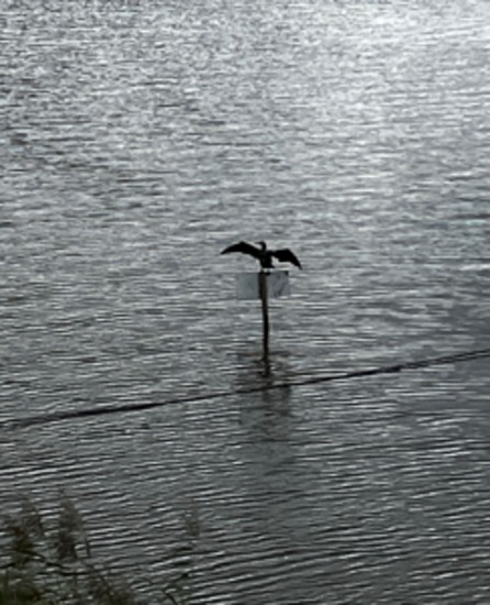 Fragwürdige Momente - Mehr oder weniger beunruhigende Beobachtungen zwischen Tag und Traum - cover