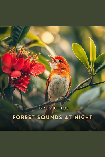 Forest Sounds at Night - Nature's Lullaby for Sleep and Meditation - cover