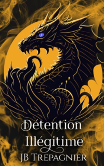 Détention Illégitime - cover