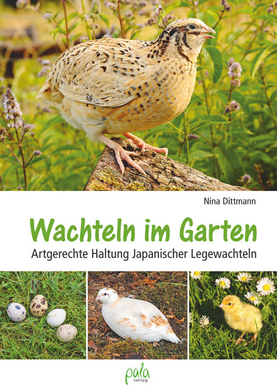 Wachteln im Garten - Artgerechte Haltung Japanischer Legewachteln - cover