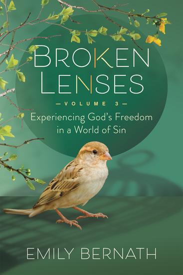 Broken Lenses - Experiencing God’s Freedom in a World of Sin - cover