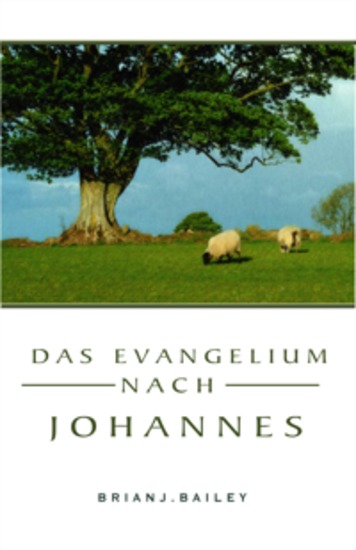 Das Evangelium nach Johannes - cover