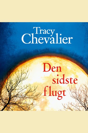 Den sidste flugt - cover