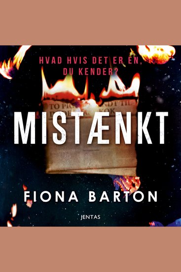Mistænkt - cover