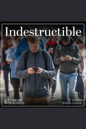 Indestructible - Resumen y Análisis - cover