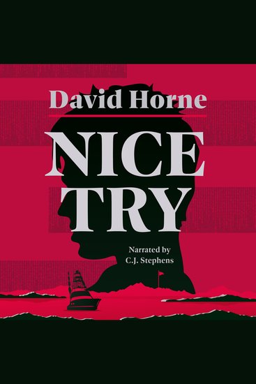 Nice Try - cover