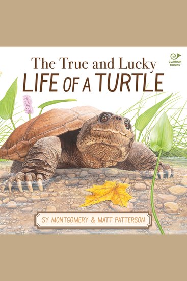 The True and Lucky Life of a Turtle - cover