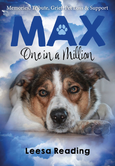 Max One In A Million - cover