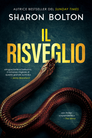 Il risveglio - cover