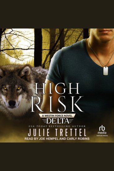 High Risk - cover