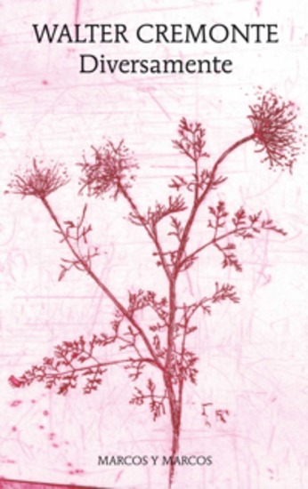 Diversamente - cover