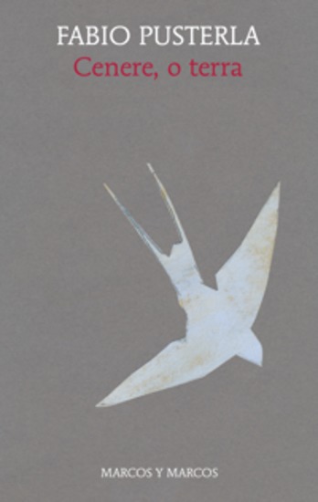 Cenere o terra - cover