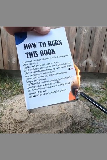 How To Burn This Book - cover