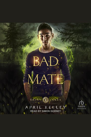 Bad Mate - cover