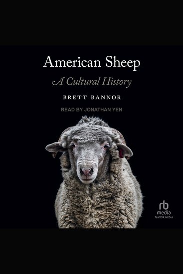 American Sheep - A Cultural History - cover