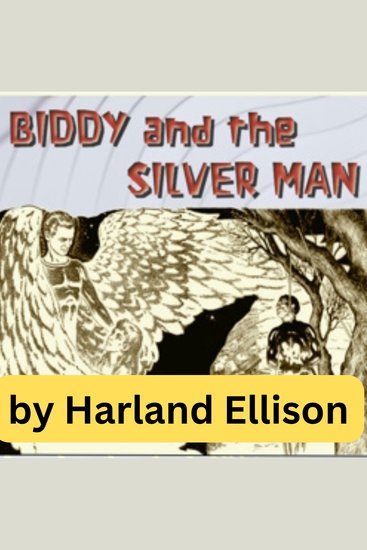 Biddy And the Silver Man - cover