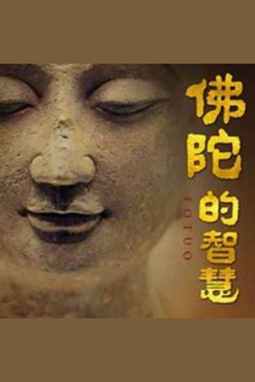 佛陀的智慧 - 《佛陀的智慧》，解锁生命真谛，开启心灵觉醒之旅！ - cover