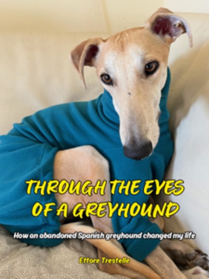 Through the Eyes of a Greyhound - How an abandoned Spanish greyhound changed my life - cover