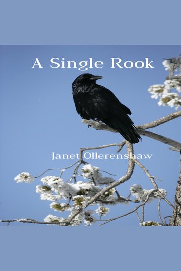 A Single Rook - cover