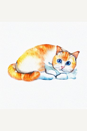 Rest Is Resistance - Group Discussion - cover