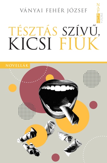 Tésztás szívű kicsi fiúk - cover