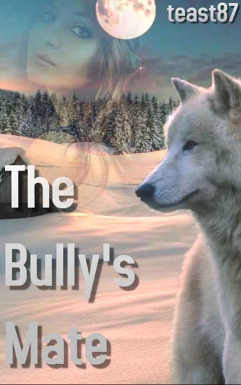 The Bully's Mate - cover