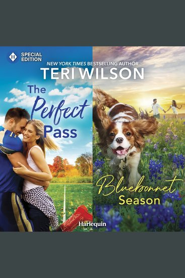 The Perfect Pass & Bluebonnet Season - cover