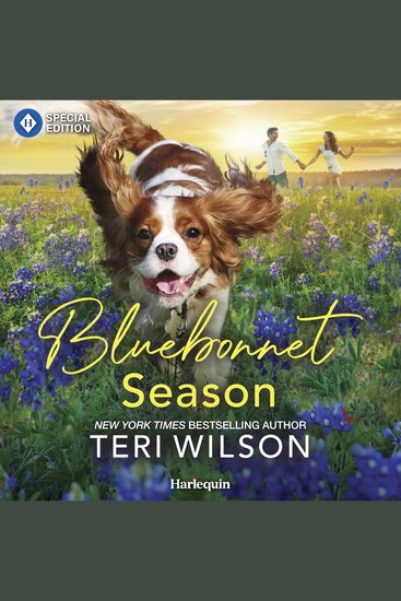 Bluebonnet Season - cover