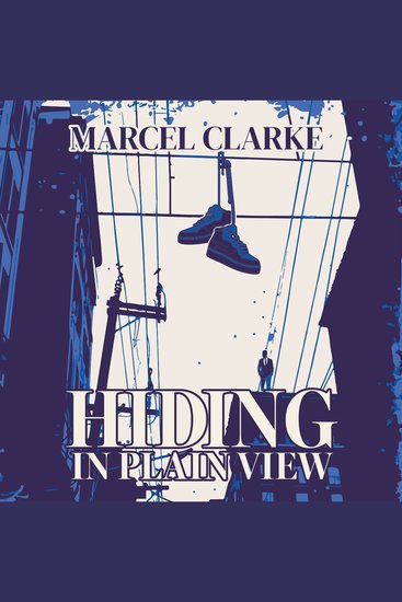 Hiding in Plain View - cover