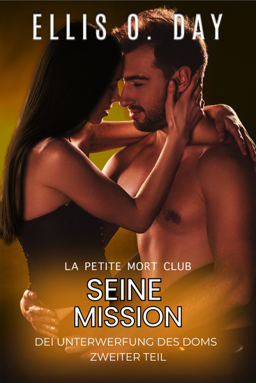 Seine Mission - Sexy Witzig Romantische - cover